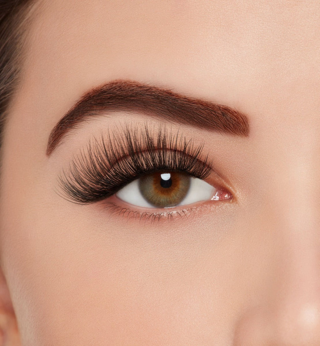Mega Volume 260