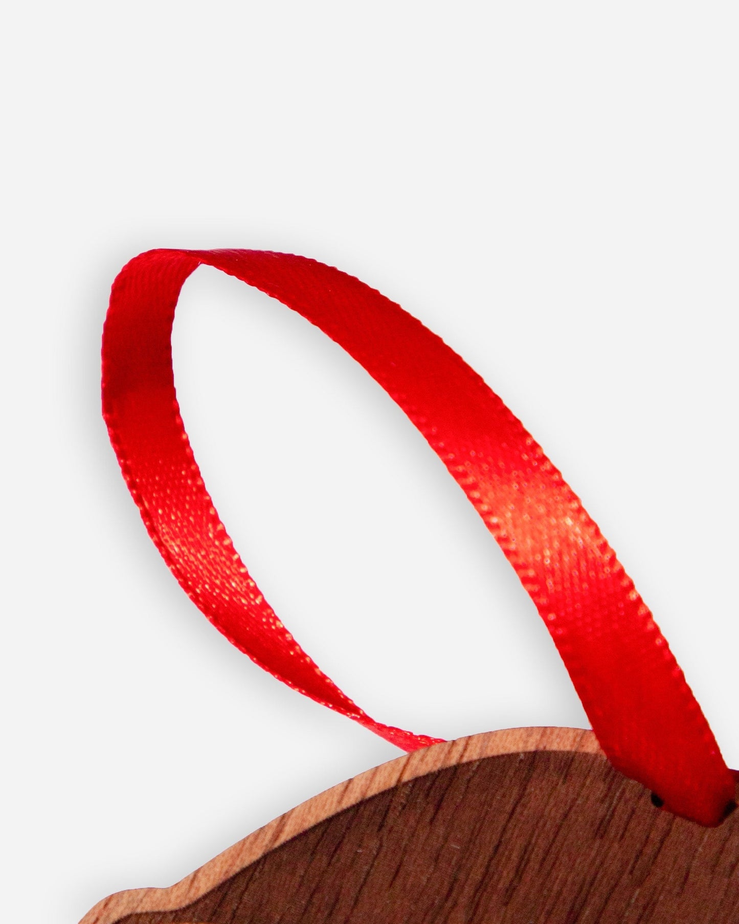 Adam's X Woodchuck Santa Ornament