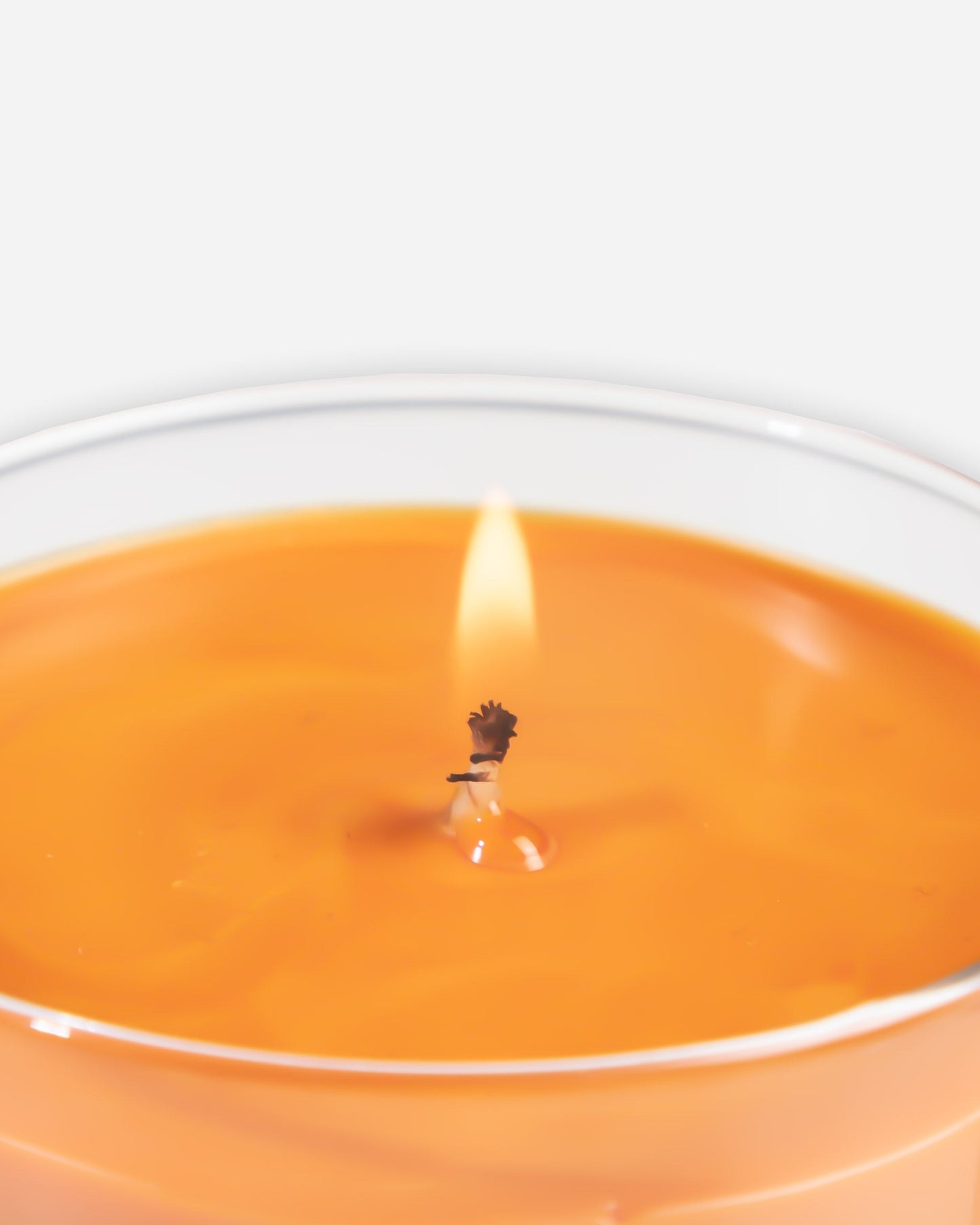 Adam's Pumpkin Spice Holiday Candle 8oz