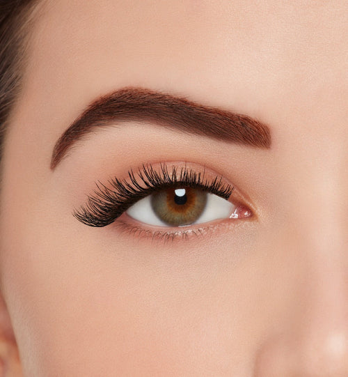 Active Lash Speedy