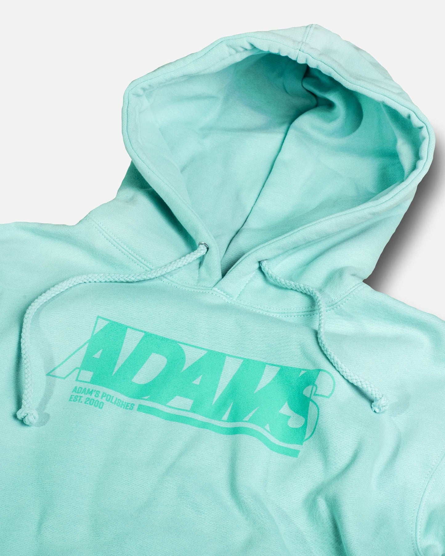 Adam's Mint Hoodie