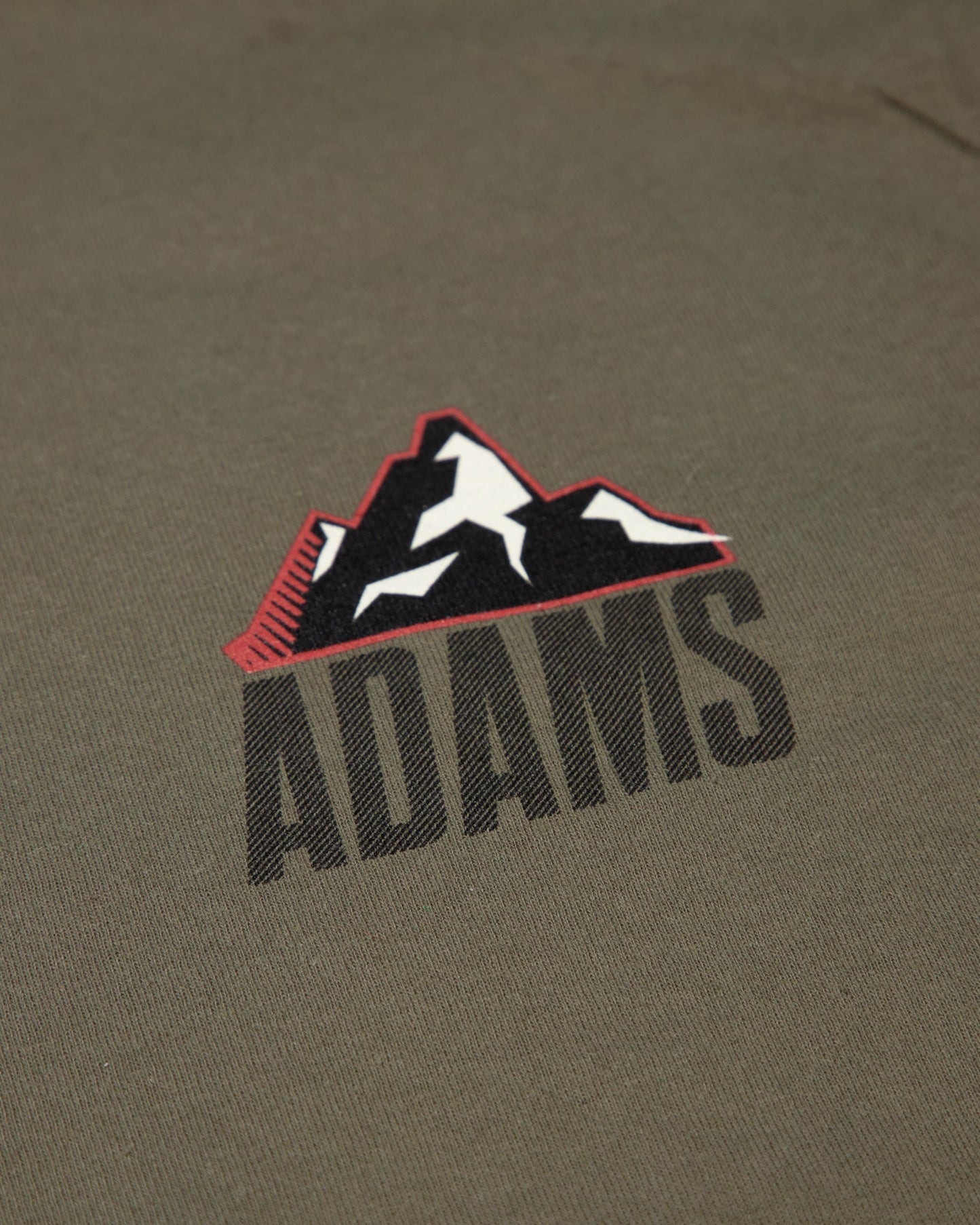 Adam's Green Holiday Long Sleeve T-Shirt