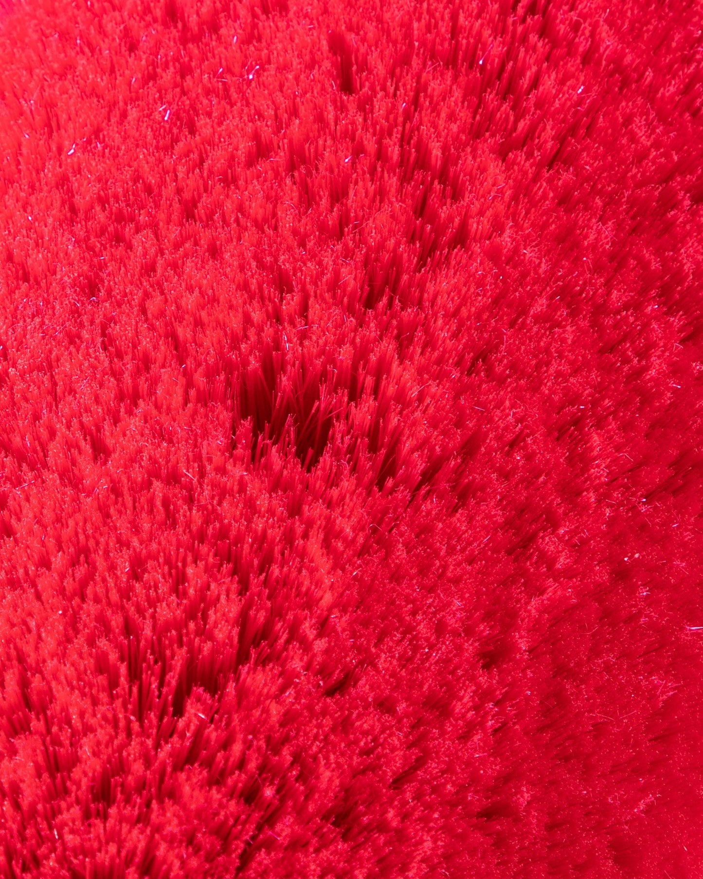 Adam's Truck Brush