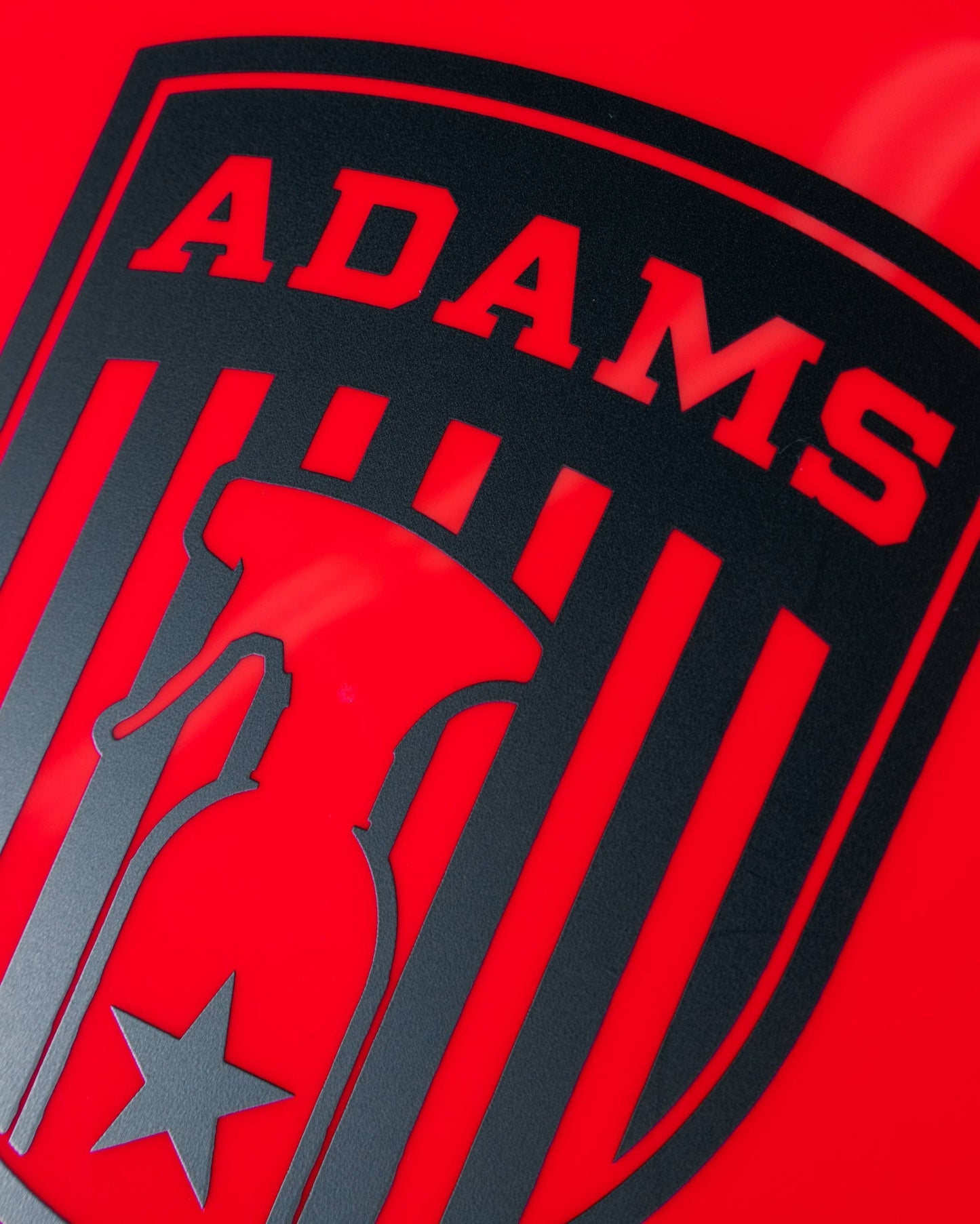 Adam's Polishes Frisbee