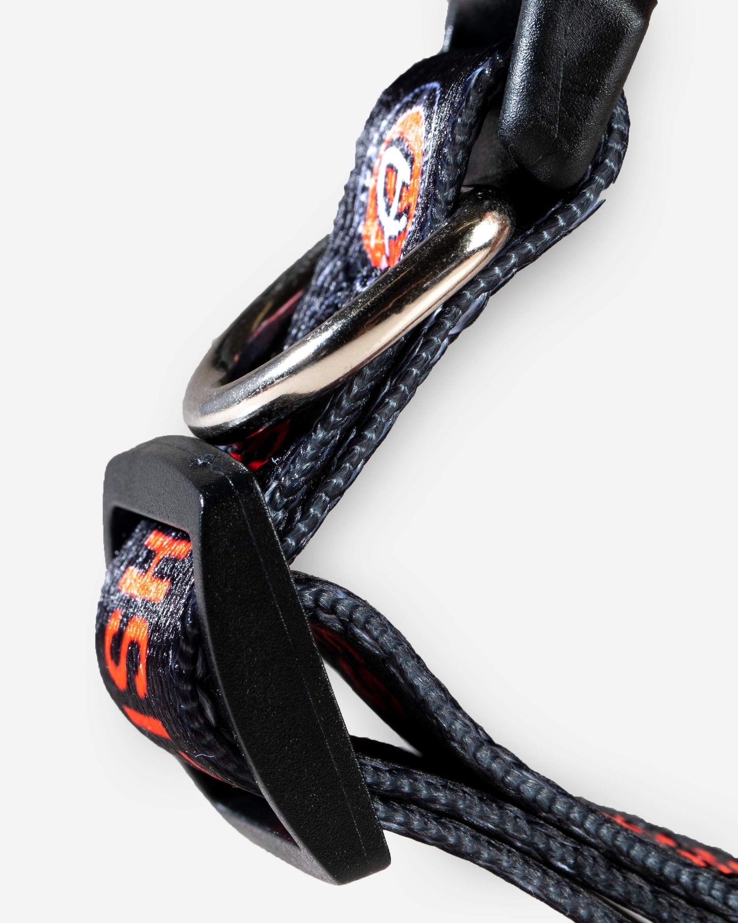 Adam's Dog Collar