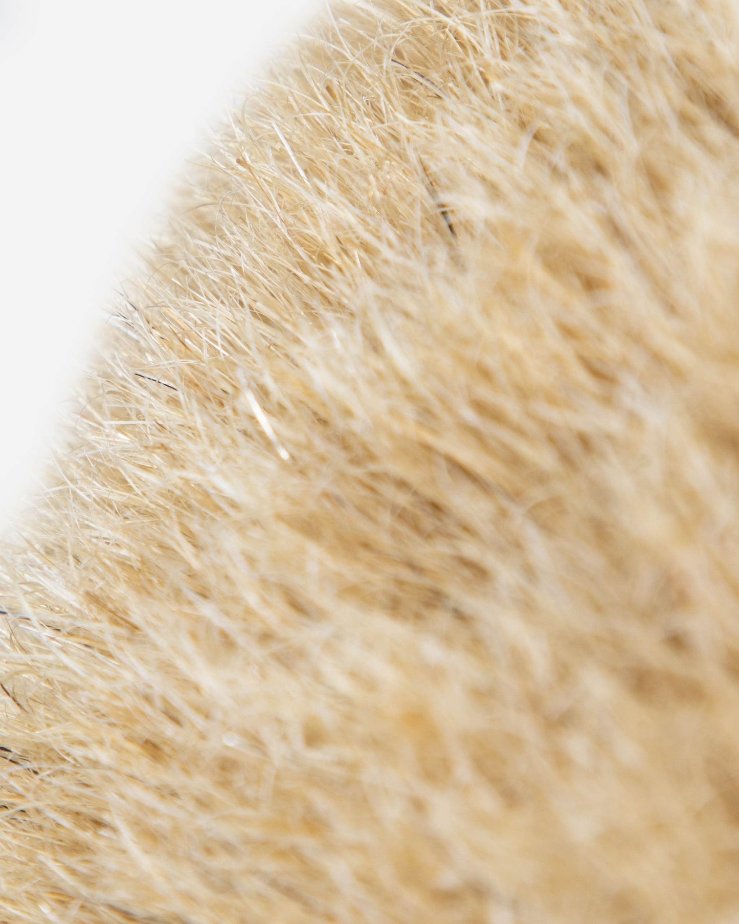 Adam's Boars Hair Truck Brush